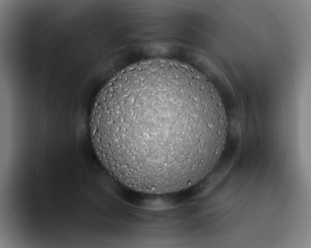 X0000094320561200711161932