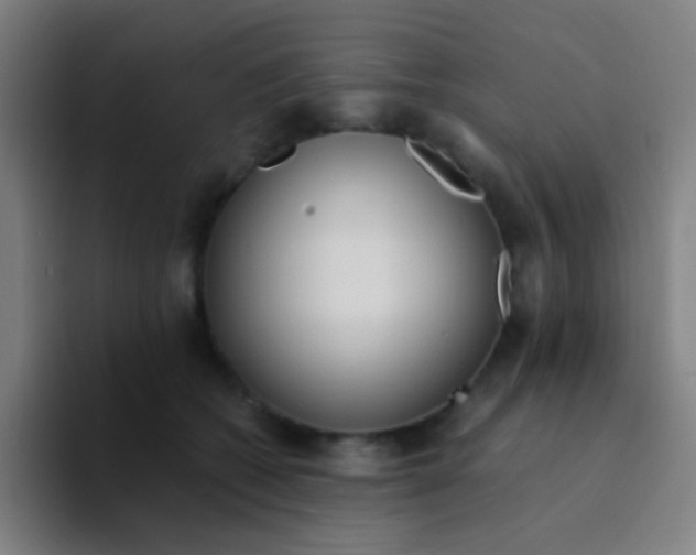 X0000094320562200711161932