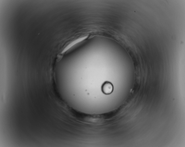 X0000094320563200711161932