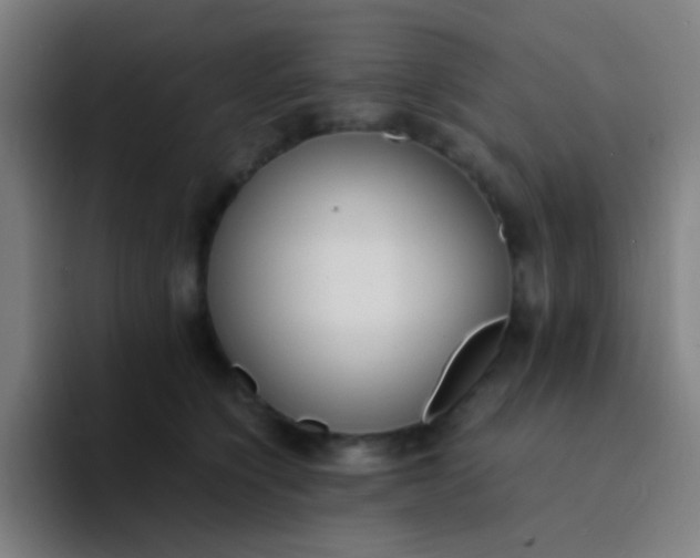 X0000094320564200711161932