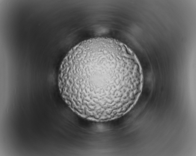 X0000094320565200711161932