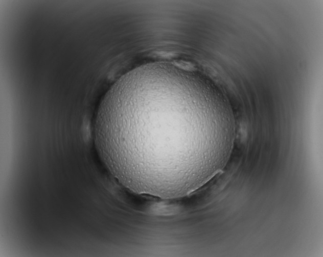 X0000094320568200711161932