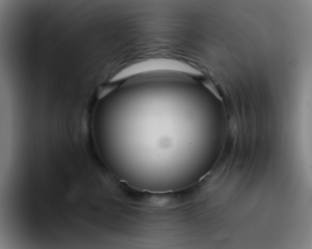 X0000094320570200711161932