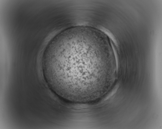 X0000094320577200711161931