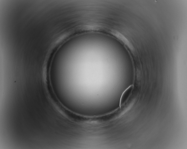 X0000094320581200711161931