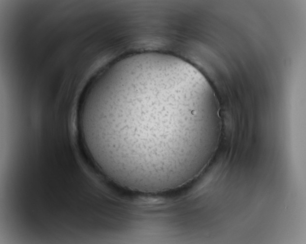 X0000094320582200711161931