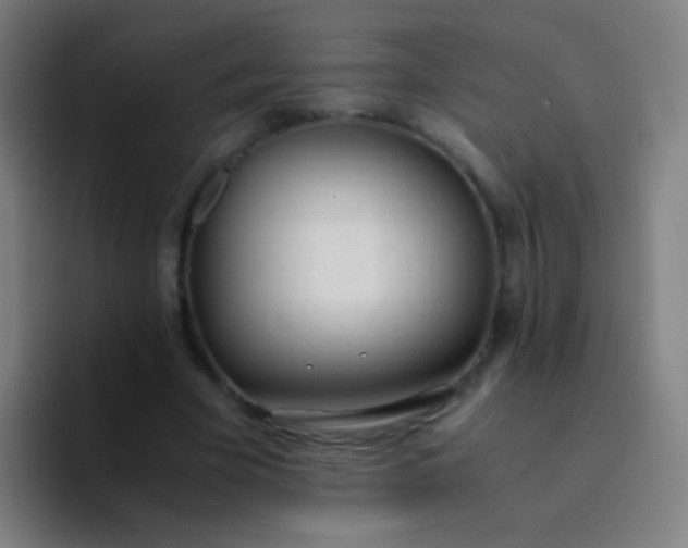 X0000094320585200711161931
