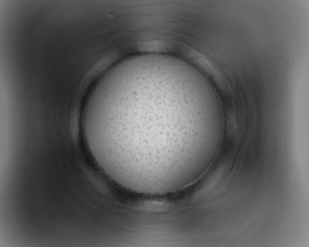 X0000094320586200711161931