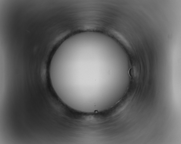 X0000094320588200711161931