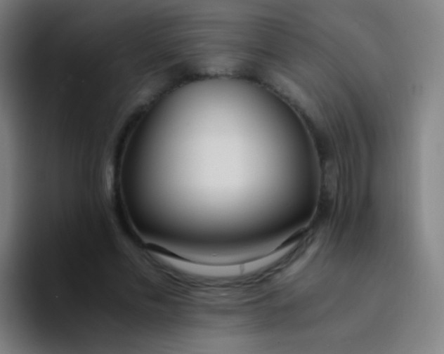 X0000094320589200711161931