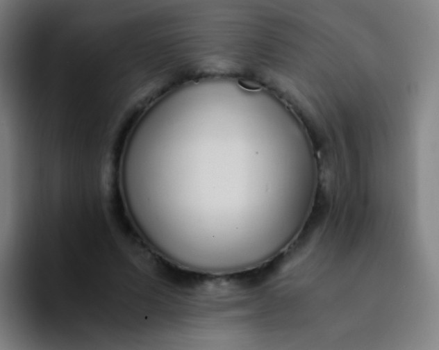 X0000094320591200711161931