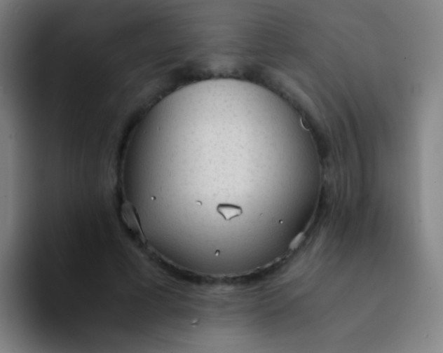 X0000094320593200711161931
