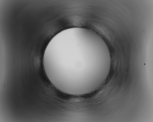 X0000094320595200711161931