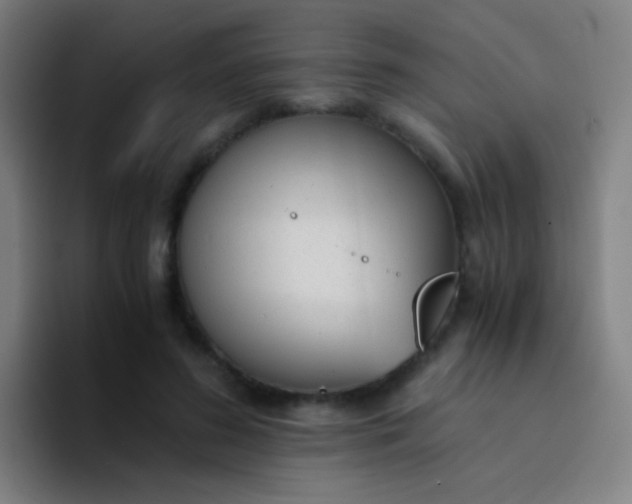 X0000094320596200711161931