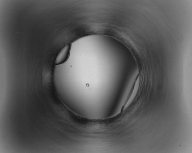 X0000094320597200711161931
