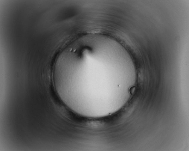 X0000094320598200711161931
