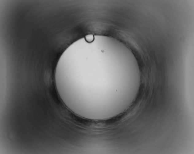 X0000094320599200711161931