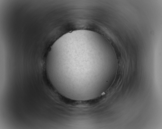 X0000094320601200711161931
