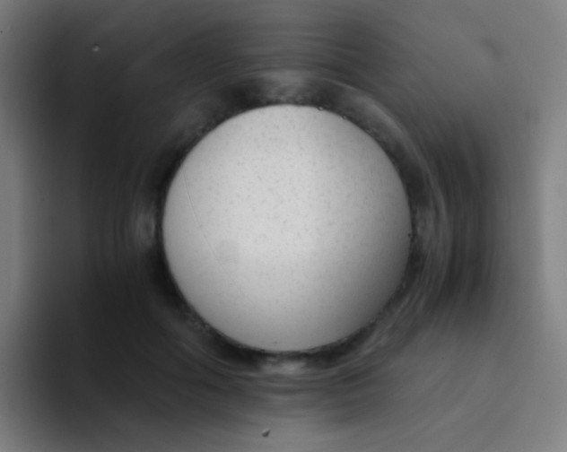 X0000094320602200711161931