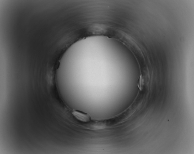X0000094320604200711161931