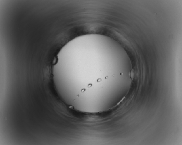 X0000094320605200711161931