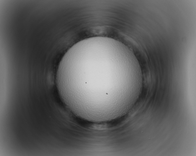 X0000094320606200711161931