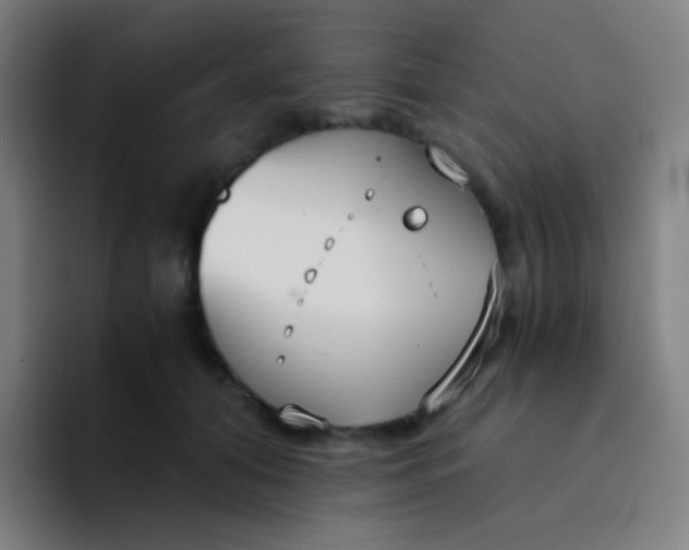 X0000094320608200711161931