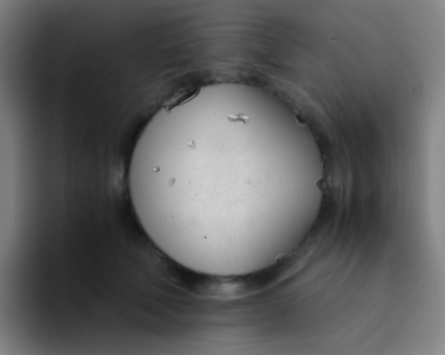 X0000094320610200711161931
