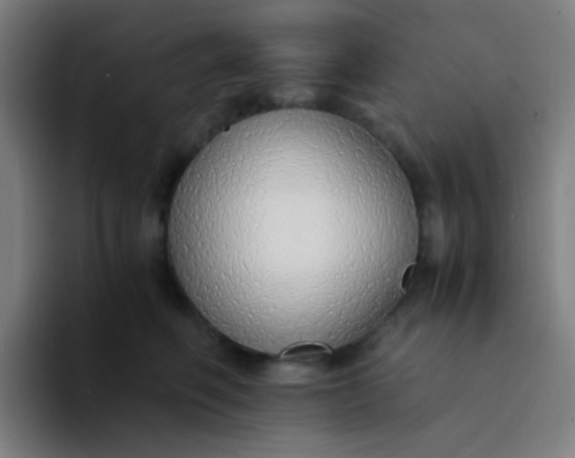 X0000094320614200711161931