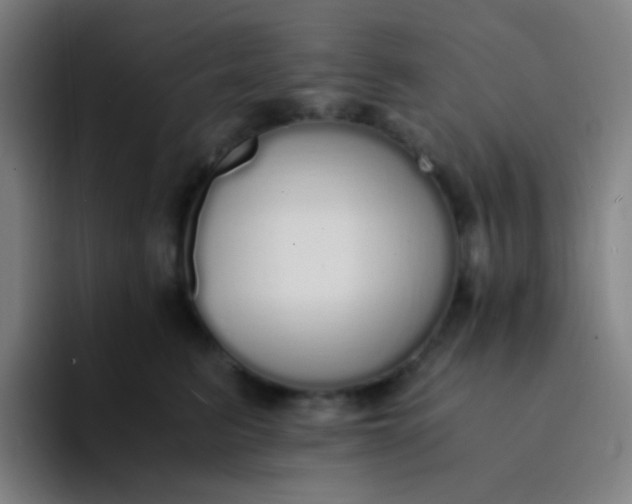 X0000094320615200711161931