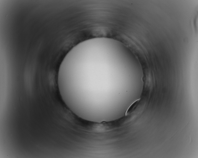 X0000094320616200711161931