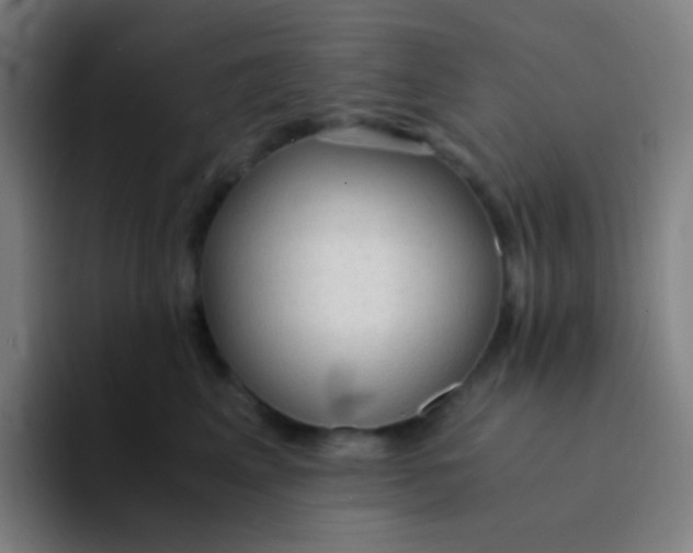 X0000094320617200711161931