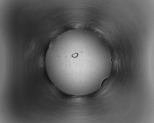X0000094320620200711161931