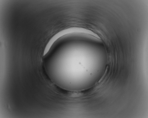 X0000094320621200711161931