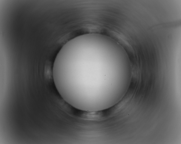 X0000094320622200711161931