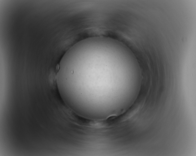 X0000094320624200711161931