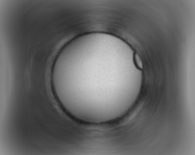X0000094320625200711161930