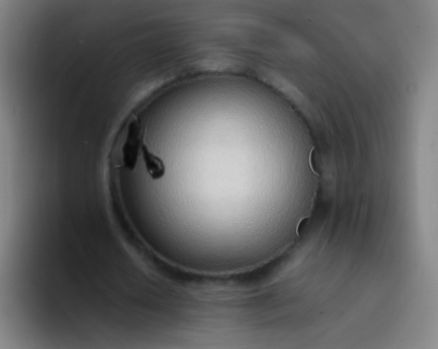 X0000094320626200711161930
