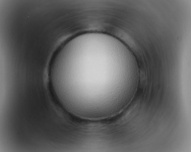 X0000094320628200711161930