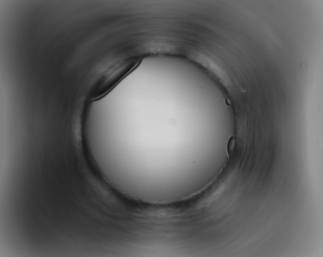 X0000094320629200711161930
