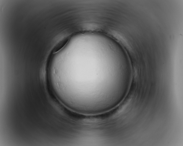 X0000094320630200711161930