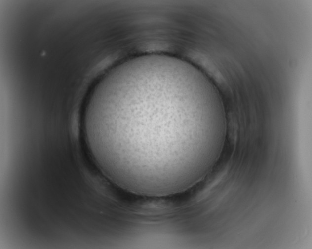 X0000094320631200711161930