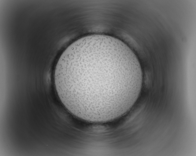 X0000094320636200711161930