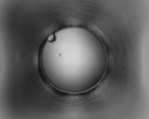X0000094320638200711161930