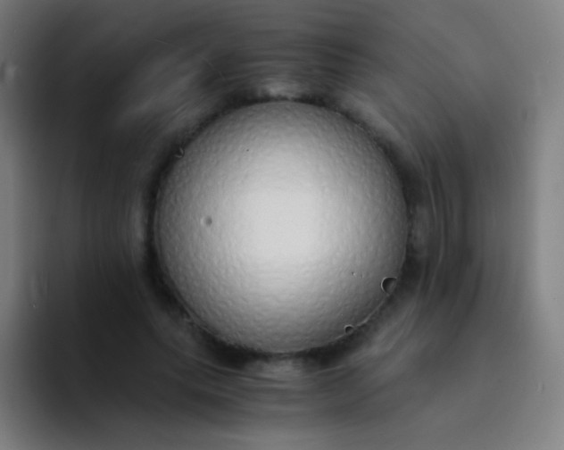 X0000094320639200711161930