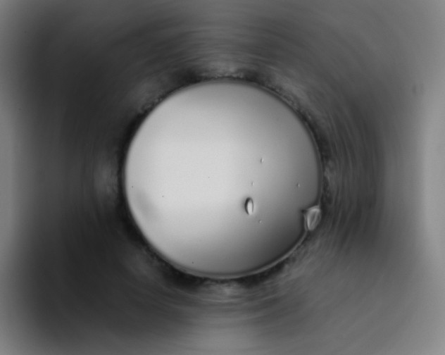 X0000094320642200711161930