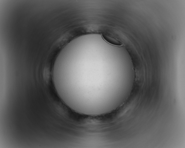 X0000094320648200711161930
