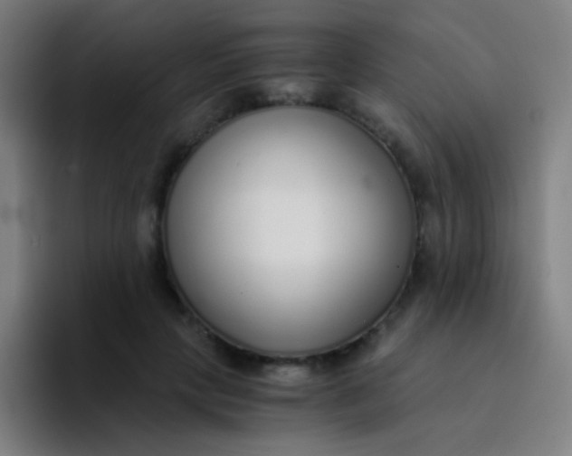 X0000094320649200711161930