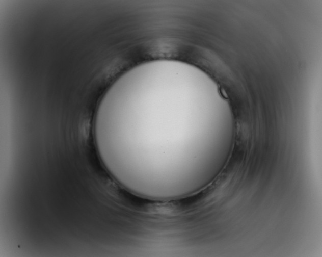 X0000094320652200711161931