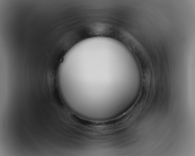 X0000094320653200711161931